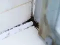 Schimmel in der Dusche, ein unschöner Anblick. Zeit, diesen hartnäckigen Schimmel in der Dusche zu entfernen und für Sauberkeit zu sorgen.