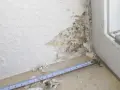 Schimmel im Bad: Feuchtigkeit hat die Tapete an der Ecke beschädigt und dunkle Flecken hinterlassen. Ein Maßband liegt daneben.