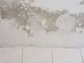 Schimmel breitet sich auf einer feuchten Kellerwand aus, die Farbe blättert ab.