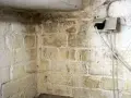 Feuchte Wände im Keller zeigen dunkle Flecken, die auf **Schimmel im Keller** hindeuten. Eine Steckdose mit Kabeln ist sichtbar.