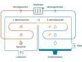 Schema einer Brennwerttherme: Gas und Luft werden zugeführt, Wärme wird übertragen, Heizwasser zirkuliert, Kondenswasser und Abgase entstehen.