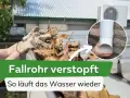 Hände mit Handschuhen entfernen Laub aus einer Dachrinne, um ein verstopftes Fallrohr zu befreien. Ein Kreis zeigt, wie das Fallrohr wieder zusammengebaut wird.