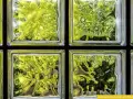 Fenster mit Glasbausteinen, die grünes Laub und Bäume durchscheinen lassen. Ideal, um alte Fenster durch moderne Glasbausteine zu ersetzen.