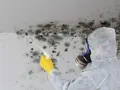 Person in Schutzanzug und Maske sprüht Schimmel an der Decke. Informieren Sie sich über die schimmel entfernen kosten.
