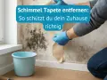 Hände mit blauen Handschuhen ziehen eine schimmelige Tapete ab. Ein blauer Eimer steht daneben.
