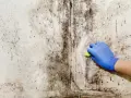 Blaue Handschuhe reinigen eine stark von **Schimmel** befallene Wand. Der Schimmel breitet sich in dunklen Flecken und Streifen aus.