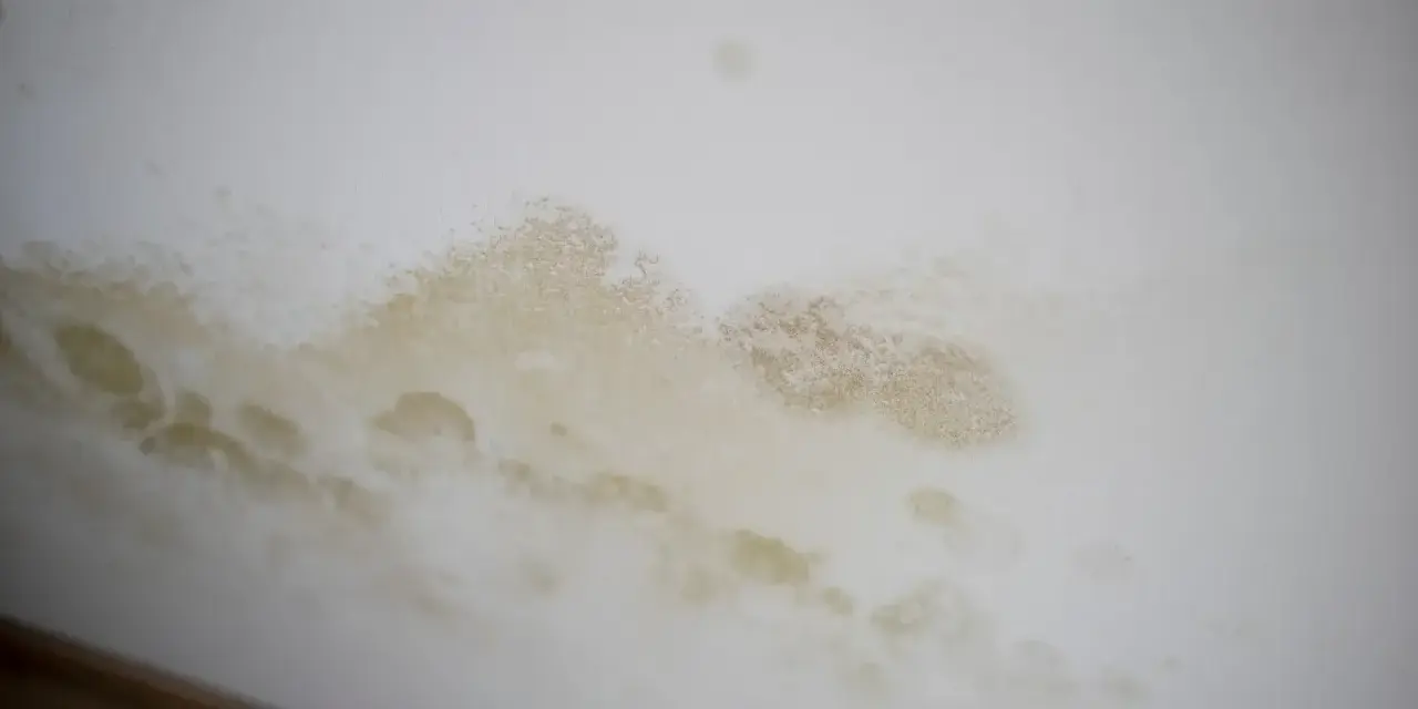 Braune und gelbliche Flecken an der weißen Wand, die wie schwarze Flecken aussehen, aber kein Schimmel sind.