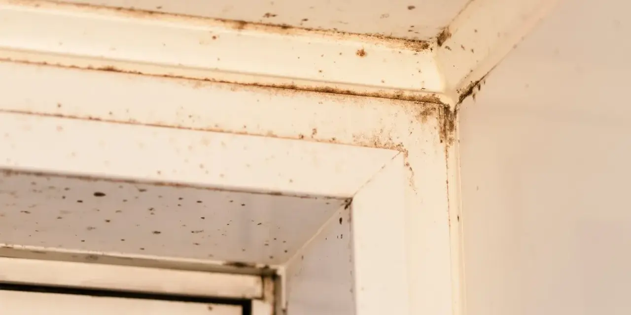 Ecken eines weißen Fensterrahmens mit dunklen Flecken, die auf **roten Schimmel** hindeuten. Feuchtigkeit hat sich hier festgesetzt.