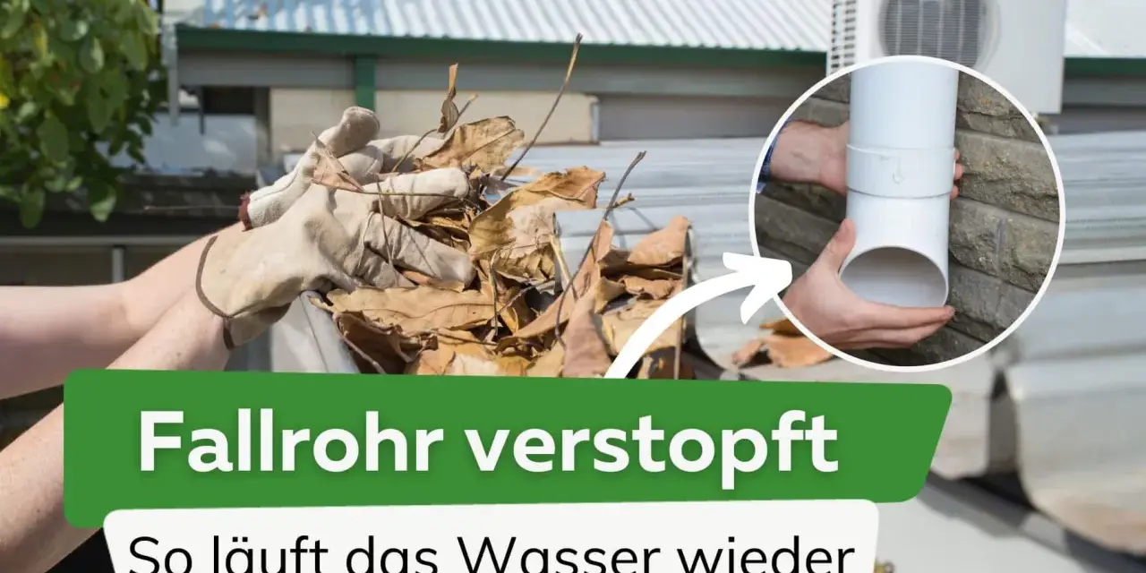 Hände mit Handschuhen entfernen Laub aus einer Dachrinne, um ein verstopftes Fallrohr zu befreien. Ein Kreis zeigt, wie das Fallrohr wieder zusammengebaut wird.