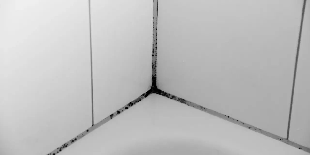 Schimmelbildung in den Fugen eines Badezimmers, ein deutliches Zeichen für Wasserschaden.