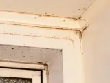 Ecken eines weißen Fensterrahmens mit dunklen Flecken, die auf **roten Schimmel** hindeuten. Feuchtigkeit hat sich hier festgesetzt.