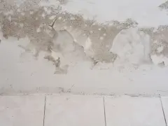 Schimmel breitet sich auf einer feuchten Kellerwand aus, die Farbe blättert ab.