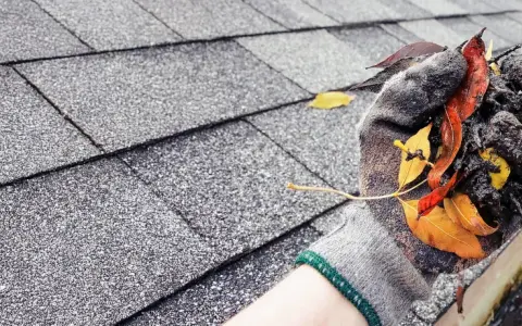 Gefüllte Regenrinne mit Laub und Schmutz, die eine Verstopfung verursacht. Eine Hand in einem Handschuh entfernt das Material.