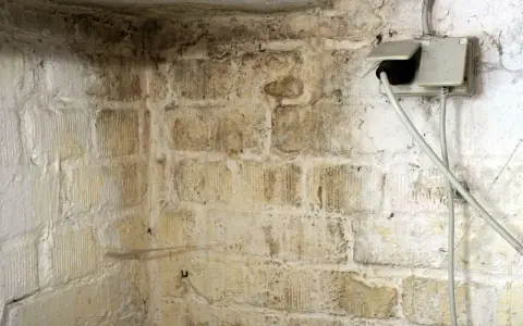 Feuchte Wände im Keller zeigen dunkle Flecken, die auf **Schimmel im Keller** hindeuten. Eine Steckdose mit Kabeln ist sichtbar.