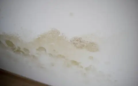Braune und gelbliche Flecken an der weißen Wand, die wie schwarze Flecken aussehen, aber kein Schimmel sind.