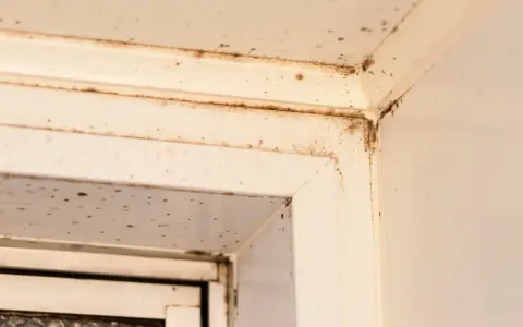Ecken eines weißen Fensterrahmens mit dunklen Flecken, die auf **roten Schimmel** hindeuten. Feuchtigkeit hat sich hier festgesetzt.