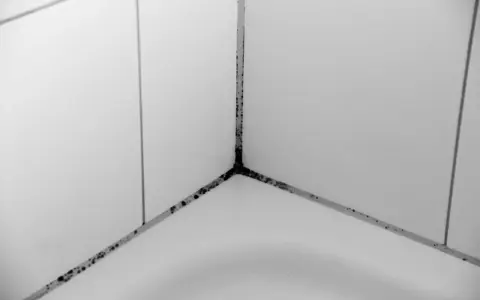 Schimmelbildung in den Fugen eines Badezimmers, ein deutliches Zeichen für Wasserschaden.