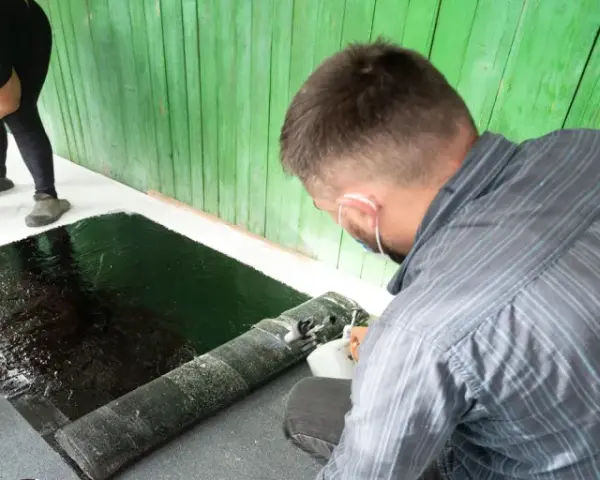 Zwei Personen arbeiten daran, den Boden abzudichten. Eine Frau gießt schwarze Flüssigkeit aus einem Eimer, während ein Mann eine Rolle Bitumenbahn ausrollt.