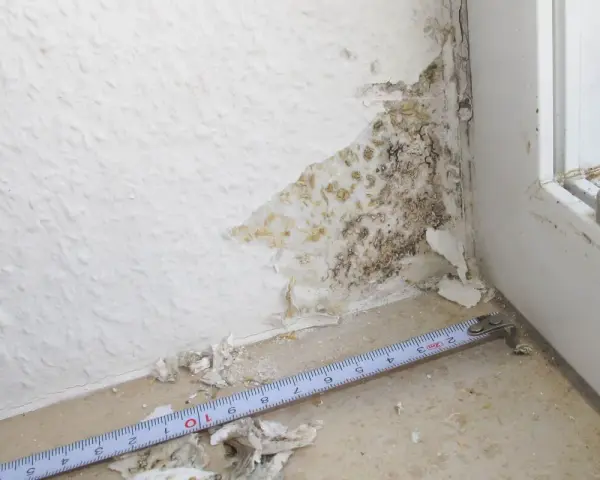 Schimmel im Bad: Feuchtigkeit hat die Tapete an der Ecke beschädigt und dunkle Flecken hinterlassen. Ein Maßband liegt daneben.