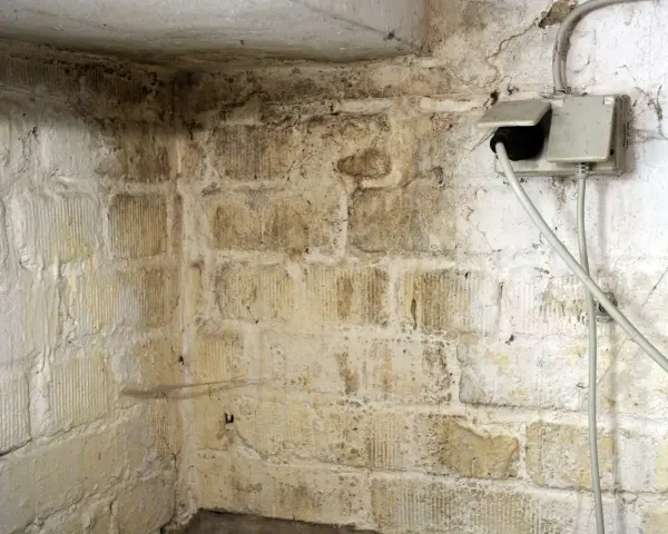 Feuchte Wände im Keller zeigen dunkle Flecken, die auf **Schimmel im Keller** hindeuten. Eine Steckdose mit Kabeln ist sichtbar.