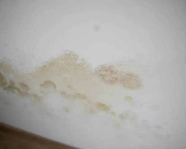 Braune und gelbliche Flecken an der weißen Wand, die wie schwarze Flecken aussehen, aber kein Schimmel sind.