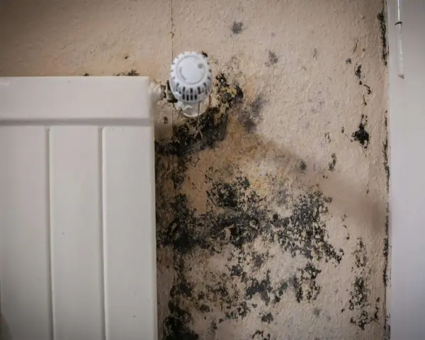 Schwarzer Schimmel breitet sich an der Wand neben einem Heizkörper aus. Dies kann ein Hinweis auf unsichtbaren Schimmel in der Wohnung und dessen Symptome sein.