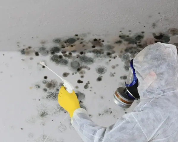 Person in Schutzanzug und Maske sprüht Schimmel an der Decke. Informieren Sie sich über die schimmel entfernen kosten.
