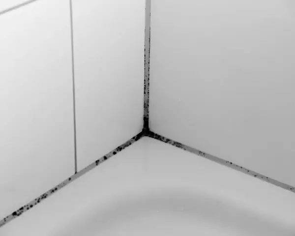 Schimmelbildung in den Fugen eines Badezimmers, ein deutliches Zeichen für Wasserschaden.