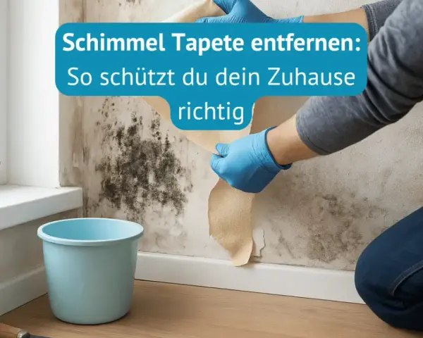 Hände mit blauen Handschuhen ziehen eine schimmelige Tapete ab. Ein blauer Eimer steht daneben.