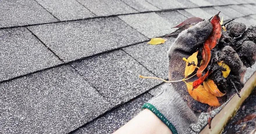 Gefüllte Regenrinne mit Laub und Schmutz, die eine Verstopfung verursacht. Eine Hand in einem Handschuh entfernt das Material.