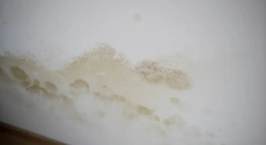 Braune und gelbliche Flecken an der weißen Wand, die wie schwarze Flecken aussehen, aber kein Schimmel sind.