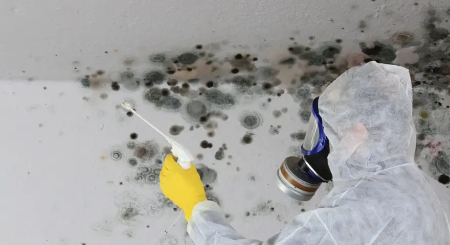 Person in Schutzanzug und Maske sprüht Schimmel an der Decke. Informieren Sie sich über die schimmel entfernen kosten.