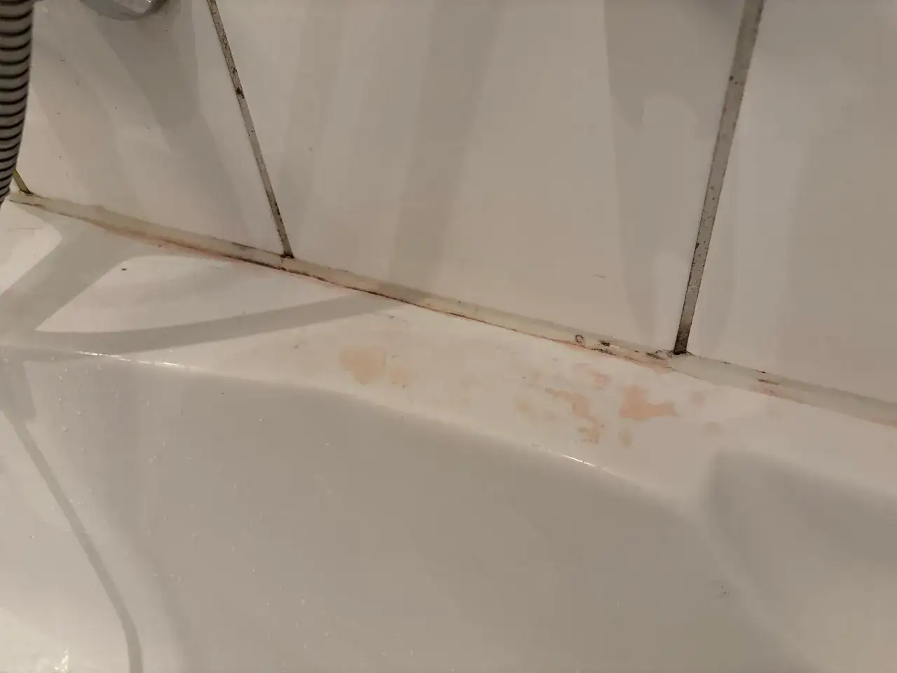 Roter Schimmel breitet sich entlang der Fugen und am Rand der Badewanne aus.