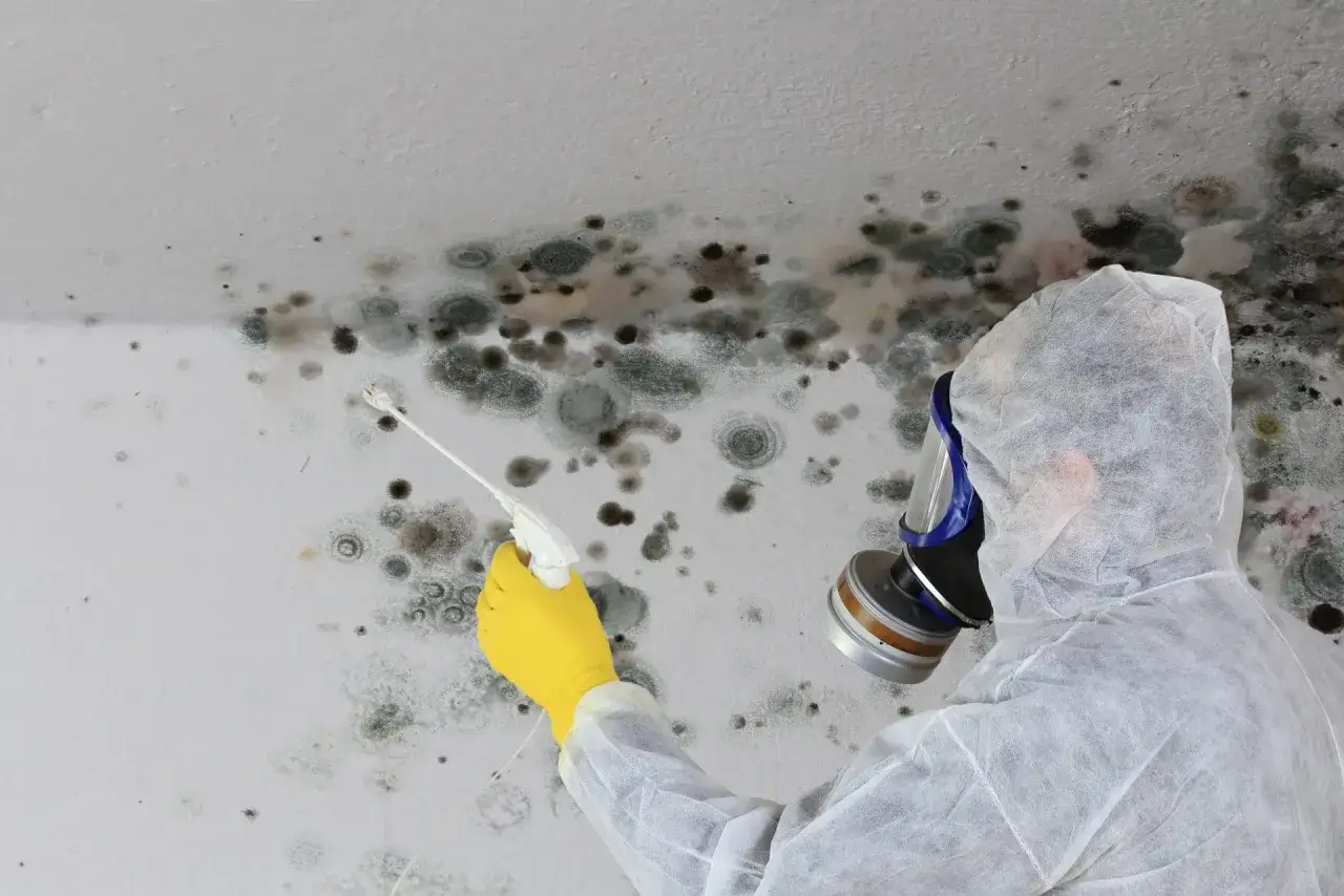Person in Schutzanzug und Maske spr&uuml;ht Schimmel an der Decke. Informieren Sie sich &uuml;ber die schimmel entfernen kosten.