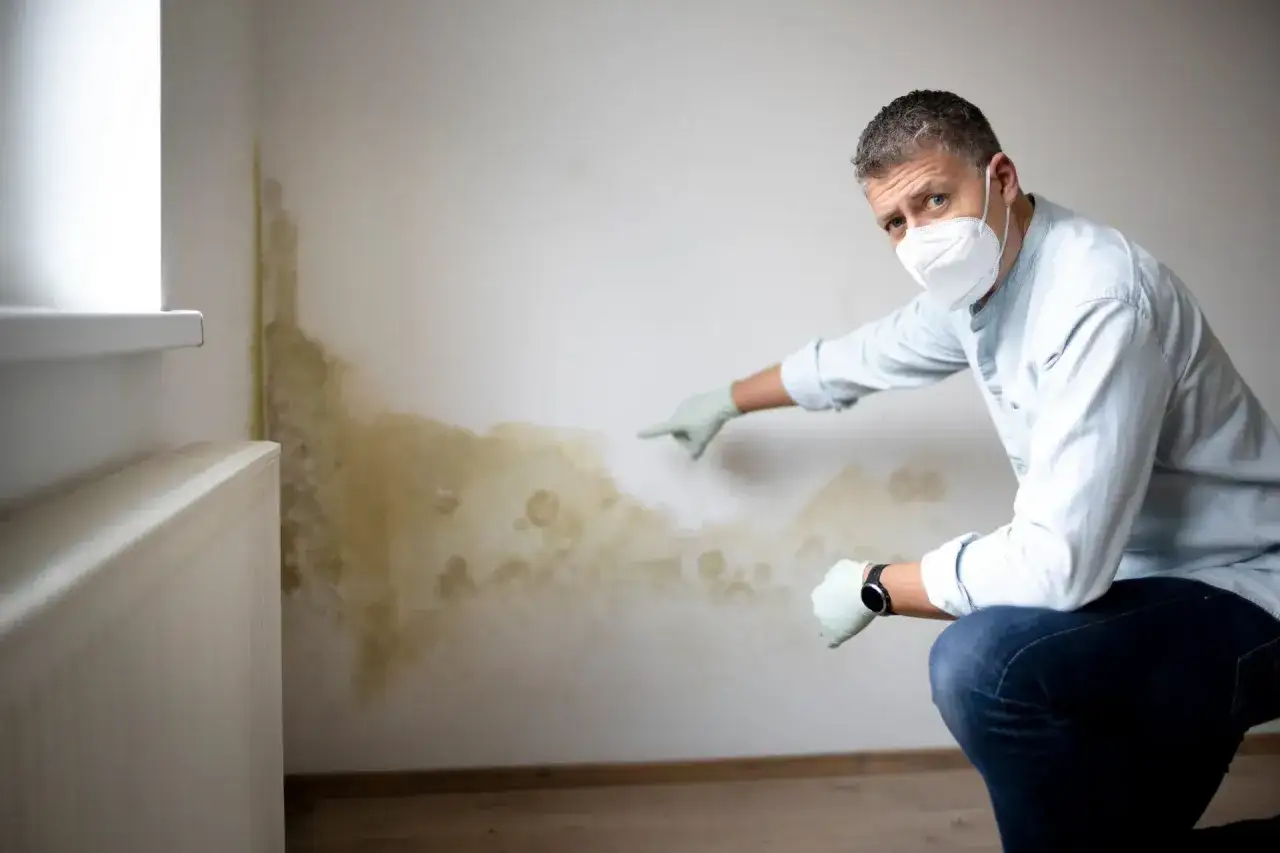 Mann mit Maske und Handschuhen zeigt auf eine nasse Wand mit Schimmel.