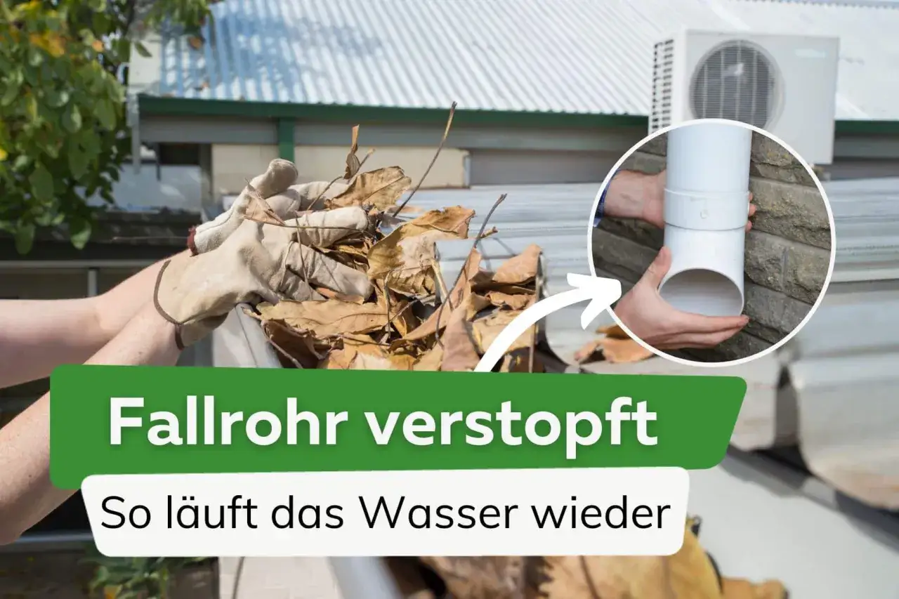 Hände mit Handschuhen entfernen Laub aus einer Dachrinne. Ein verstopftes Fallrohr wird gezeigt, um zu demonstrieren, wie Wasser wieder abfließen kann.