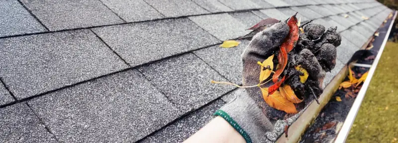 Gefüllte Regenrinne mit Laub und Schmutz, die eine Verstopfung verursacht. Eine Hand in einem Handschuh entfernt das Material.
